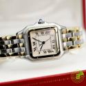 Cartier panthere